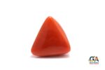 Red Coral 22.94 Carat (Moonga 25.23 Ratti) - Image 2