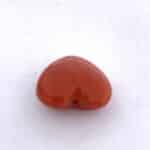 Red Coral 7.06 Carat (7.84 Ratti) - Image 3