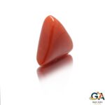Red Coral 5.28 Carat (5.80 Ratti) - Image 2