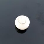 Natural White Coral 8.86 Carat (9.84 Ratti) - Image 2
