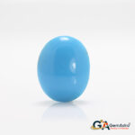 Turquoise (Firoza) 7.81 Carat (8.59Ratti)
