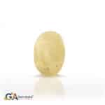 Yellow Sapphire 6.52 Carat (7.17 Ratti)