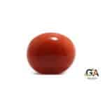 Red Coral 7.53 Carat (8.26 Ratti) Japanese