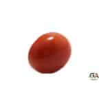 Red Coral 7.53 Carat (8.26 Ratti) Japanese - Image 4
