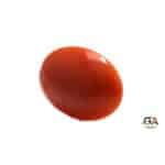 Red Coral 9.05 Carat (9.95 Ratti) - Image 3