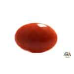 Red Coral 9.05 Carat (9.95 Ratti) - Image 4