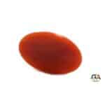 Red Coral 9.05 Carat (9.95 Ratti)
