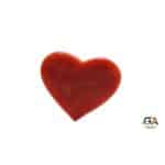 Red Coral 9.42 Carat (10.36 Ratti) - Image 4