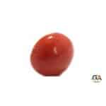 Red Coral 7.85 Carat (8.63 Ratti) - Image 2