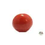 Red Coral 7.85 Carat (8.63 Ratti) - Image 3