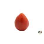 Red Coral 9.80Carat (10.78Ratti) - Image 2