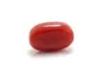 Red Coral (Moonga) 4.98 Carat (5.47 Ratti) - Image 2