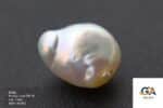 Natural Keshi Pearl (Moti) 14.82 Carat (16.30 Ratti) - Image 2