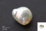 Natural Keshi Pearl (Moti) 14.82 Carat (16.30 Ratti) - Image 4