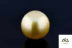 Golden South Sea Pearl (Moti) 11.95 Carat (13.14 Ratti) - Image 3