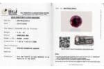 Rhodolite Garnet 2.51 Carat (2.76Ratti) - Image 2