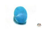 Turquoise (Firoza) 20.42 Carat (22.69 Ratti) - Image 2