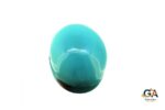 Turquoise (Firoza) 25.12 Carat (27.91 Ratti) - Image 2