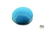 Turquoise (Firoza) 17.61 Carat (19.57 Ratti) - Image 3