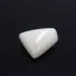Natural White Coral 7.20 Carat (7.92 Ratti) - Image 2