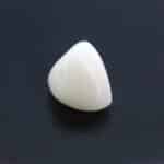 Natural White Coral 7.20 Carat (7.92 Ratti) - Image 4