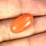 Natural Japanese Coral 9.82 Carat (10.80 Ratti) Moonga - Image 2