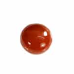 Natural Japanese Coral 11.76 Carat (12.94 Ratti) Moonga