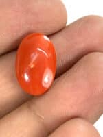 Natural Japanese Coral 8.29 Carat (9.12 Ratti) Moonga - Image 2