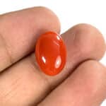 Natural Japanese Coral 6.72Carat (7.39Ratti) Moonga - Image 2
