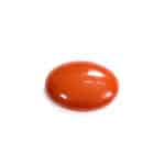 Natural Japanese Coral 7.54 Carat (8.29 Ratti) Moonga - Image 3