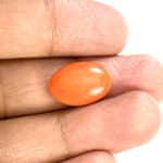 Natural Japanese Coral 7.54 Carat (8.29 Ratti) Moonga - Image 2