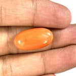 Natural Japanese Coral 13.03 Carat (14.33 Ratti) Moonga - Image 2
