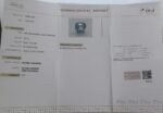 Bi Color Sapphire (Pitambri) 8.67 Carat (9.54 Ratti) - Image 2