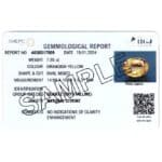 IIGJ CERTIFICATE