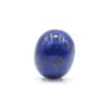 GALP60