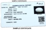 IIGJ CERTIFIED