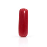 Red Coral 7.99 Carat (Moonga 8.79 Ratti)