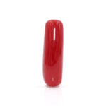 Red Coral 6.75 Carat (Moonga 7.43 Ratti)