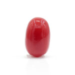 Red Coral 2.40 Carat (Moonga 2.64 Ratti)