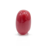 Red Coral 2.74 Carat (Moonga 3.01 Ratti)