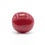 Red Coral 7.90 Carat (Moonga 8.69 Ratti) - Image 3