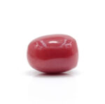Red Coral 7.90 Carat (Moonga 8.69 Ratti) - Image 4