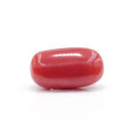 Red Coral 7.45 Carat (Moonga 8.20 Ratti - Image 3