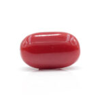 Red Coral 8.23 Carat (Moonga 9.05 Ratti - Image 3