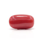 Red Coral 8.22 Carat (Moonga 9.04 Ratti - Image 3