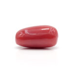 Red Coral 8.22 Carat (Moonga 9.04 Ratti - Image 4