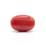 Red Coral 7.62 Carat (Moonga 8.38 Ratti - Image 3