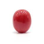 Red Coral 8.81 Carat (Moonga 9.69 Ratti