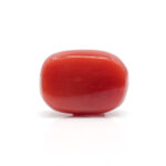 Red Coral 7.89 Carat (Moonga 8.68 Ratti - Image 3