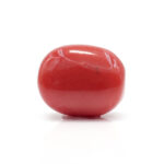 Red Coral 7.99 Carat (Moonga 8.79 Ratti - Image 3